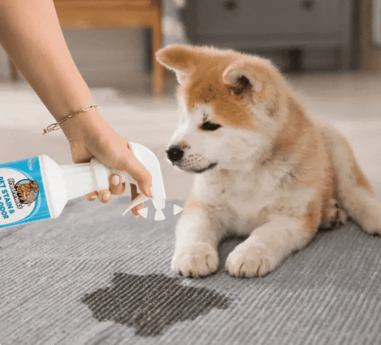 CURAPETS Premium Pet Stain & Odor Remover. Spray this to make years of stains, odors, & frustration vanish permanently