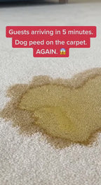 CURAPETS Premium Pet Stain & Odor Remover. Spray this to make years of stains, odors, & frustration vanish permanently